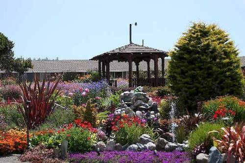 Surf Motel And Gardens Форт-Брэгг Экстерьер фото